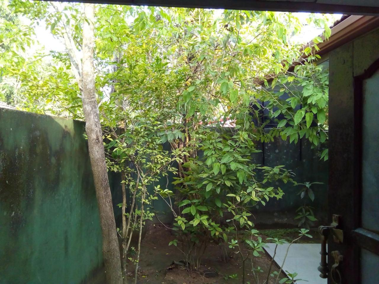 Ceylon Hostel-Galle Unawatuna Zewnętrze zdjęcie