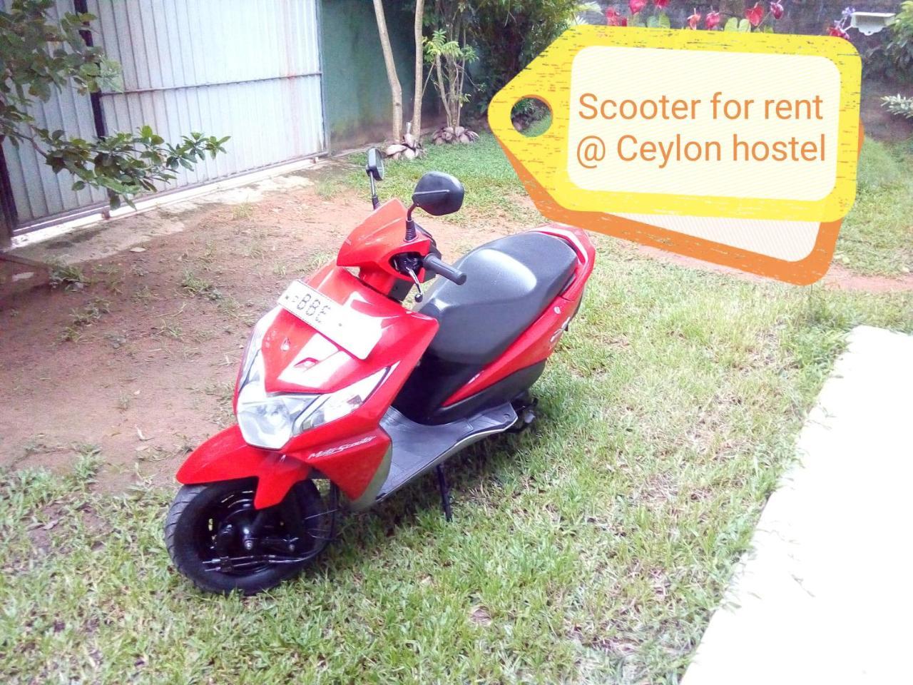 Ceylon Hostel-Galle Unawatuna Zewnętrze zdjęcie