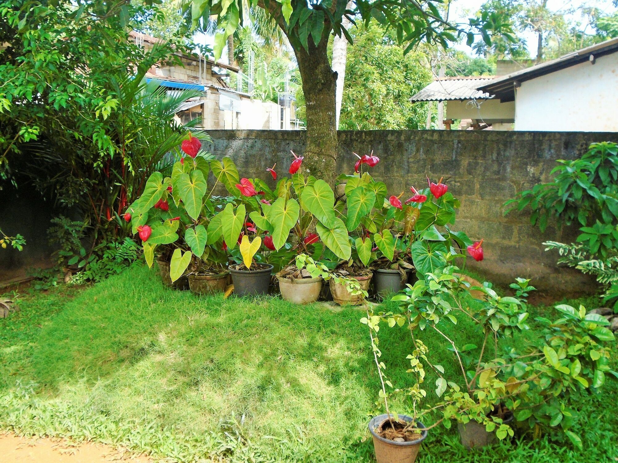 Ceylon Hostel-Galle Unawatuna Zewnętrze zdjęcie